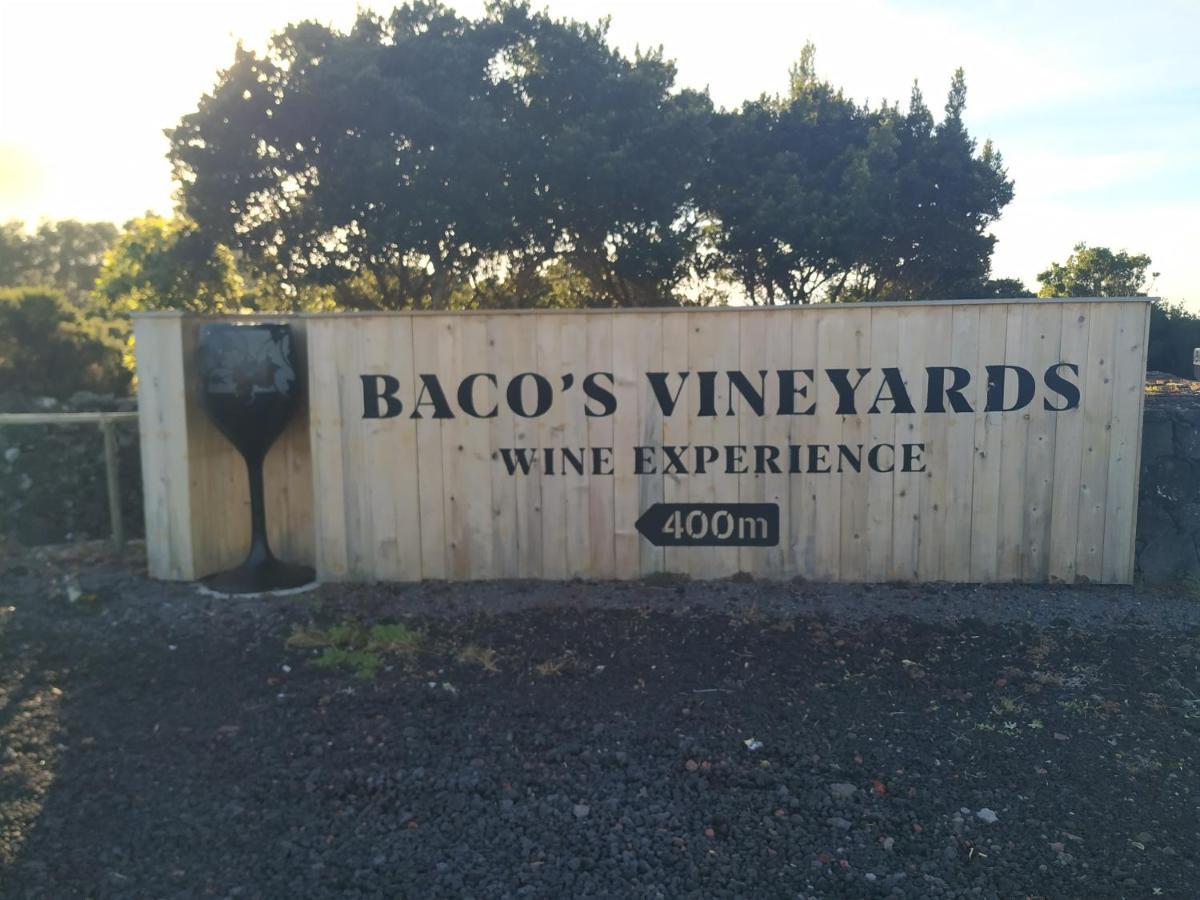 Baco'S Vineyard Villa Lajido Buitenkant foto