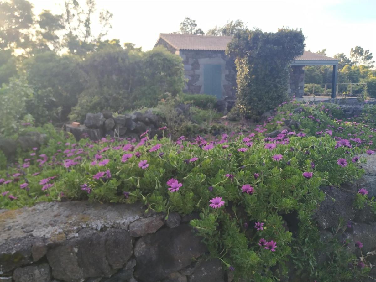 Baco'S Vineyard Villa Lajido Buitenkant foto